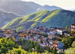 皖南雄鹿队守住胜果天山雄鹿队，板球杯赛上演裁判判罚引热议！年轻人站出来了