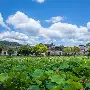皖南雄鹿队守住胜果天山雄鹿队，板球杯赛上演裁判判罚引热议！年轻人站出来了